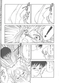 (C51) [EKAKIGOYA NOTESYSTEM (Nanjou Asuka)] KITSCH VOL.1 (Martian Successor Nadesico, Neon Genesis Evangelion)