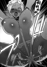 (C91) [H.B.A (Usagi Nagomu)] Reizoku Elf Maid + C91 Kaijou Genteibon [Chinese] [无毒汉化组]