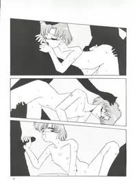 (C45) [Ariari no Nashinashi (Wave)] Side Story Ver. 3.01 (Bishoujo Senshi Sailor Moon)