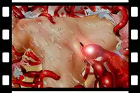 [NEO’GENTLE] Bitou Megami Elsex ~Bishoujo Robo Hakai Ryoujoku~