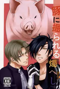 (Senka no Toki) [Hot Inari (Nari)] Buta ni Horareru ShokuHeshi (Touken Ranbu)