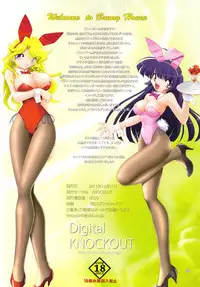 (C81) [KNOCKOUT (USSO Minazuki Juuzou TYPE.90)] Usagi San no Iruo Mise (banigaru)