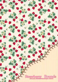 (C79) [D.N.A.Lab. (Miyasu Risa)] Strawberry Bounds (Touhou Project)