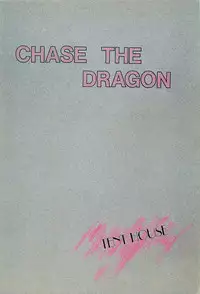 (C31) [MünchenGraph, TENT HOUSE (Various)] Chase the Dragon (Magical Emi)