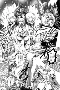 COMIC SIGMA 2008-11 Vol. 25