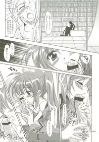 (C73) [PLUM (Kanna)] Mahou Shoujo Magical SEED Soushuuhen X (Mahou Shoujo Lyrical Nanoha)