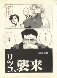 [Anthology] Shitsurakuen 6 - Paradise Lost 6 (Neon Genesis Evangelion)