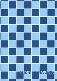 (C92) [telomereNA (Gustav)] Zenbu Natsu no Sei. (THE IDOLM@STER CINDERELLA GIRLS) [Chinese] [無邪気漢化組]