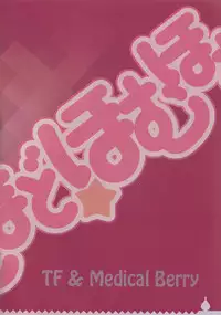 (C81) [Medical Berry, Techno Fuyuno (ha-ru, Fuyuno Haruaki)] MadoMado HomuHomu (Puella Magi Madoka Magica)