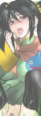 [Plumeria (LOCO)] Midori no Ekitai (Dragon Quest III)