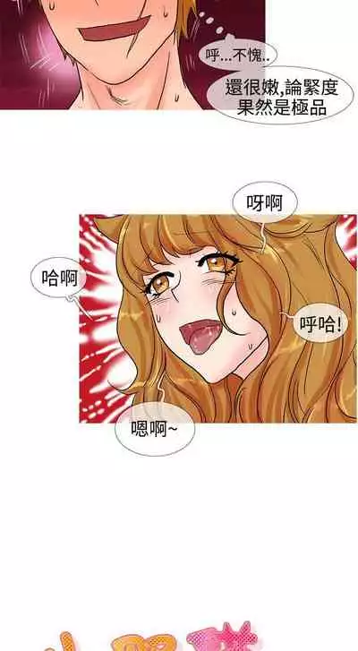 小野貓馴服手冊