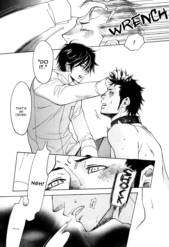 Giocatore, Hokaku Keikaku