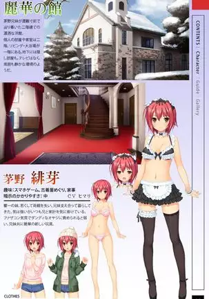 Reika no Yakata ~Saimin Yuugi e no Shoutaijou~ Movie Edition Mini Visual Fanbook