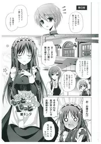 Walkure Romanze More & More Visual Fan Book