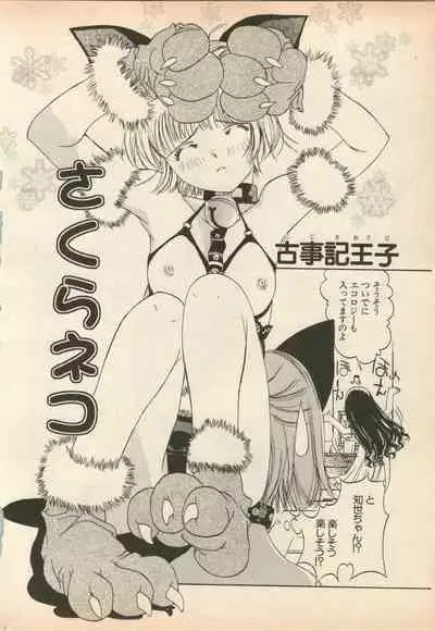 Shin Bishoujo Shoukougun 5 Fukkatsu hen