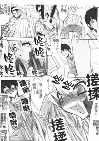 [Erect Sawaru] Mazo❤Chichi | 嗜虐❤爆乳 [Chinese]