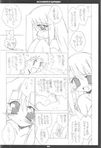 (C68) [THIRD BRAND (Katsumata Kazuki)] Illya Route Kouryaku! Kanzen Kanketsuban (Fate stay night)