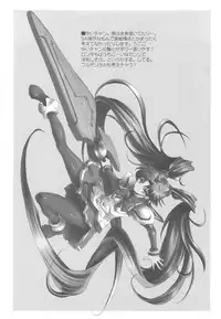 (C77) [Uguisuya (Uguisu Kagura)] Guardians Campanella (Vanguard Princess)