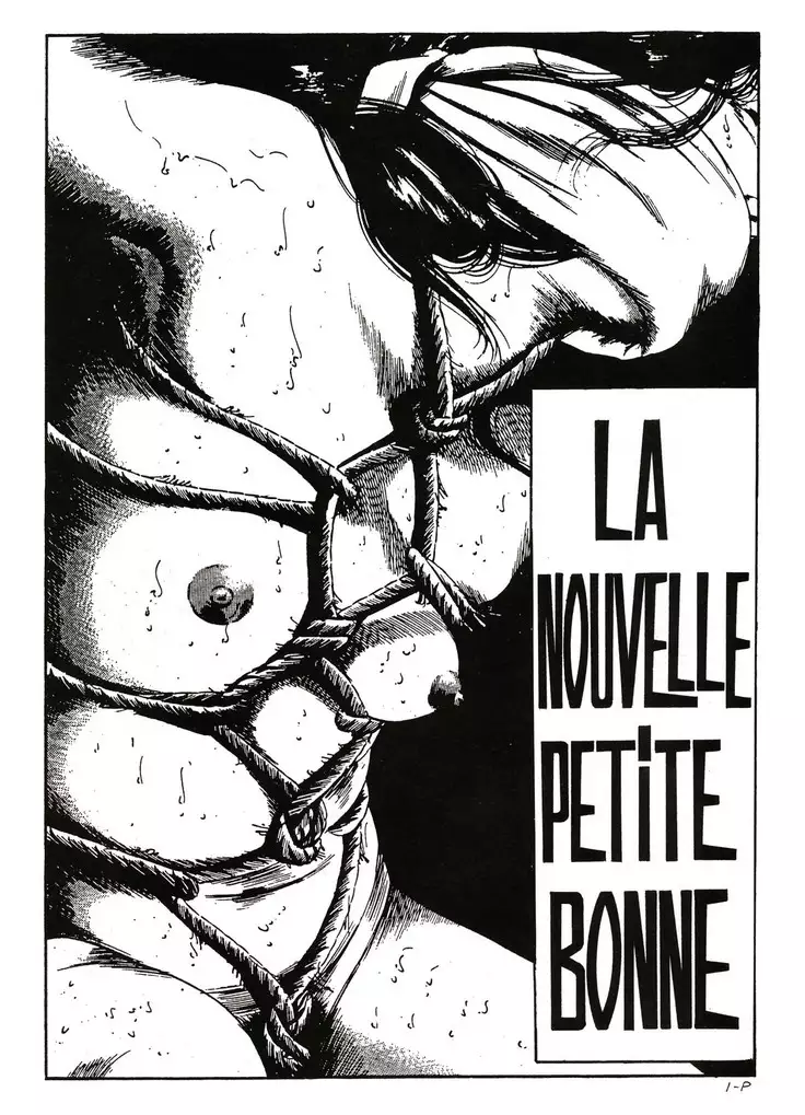 La nouvelle petite bonne