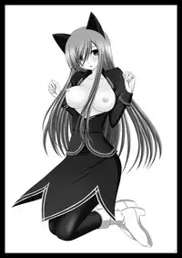 (C78) [valssu (Charu)] Melon ga Chou Shindou! R4 (Tales of the Abyss) [Chinese] [流星汉化]