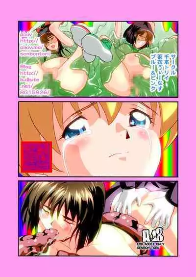 HagoromoVENUS完全版