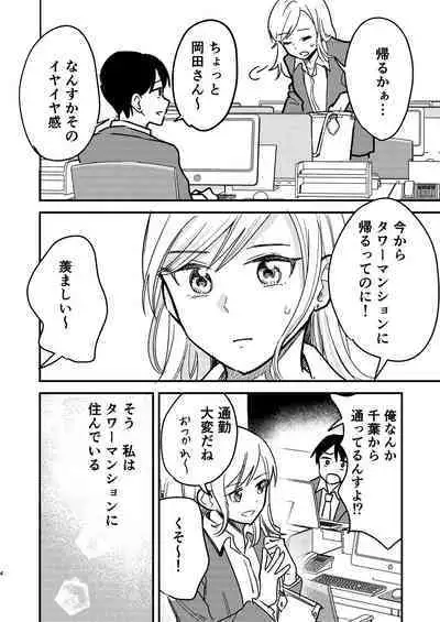 Tower Mansion Cunni Caste