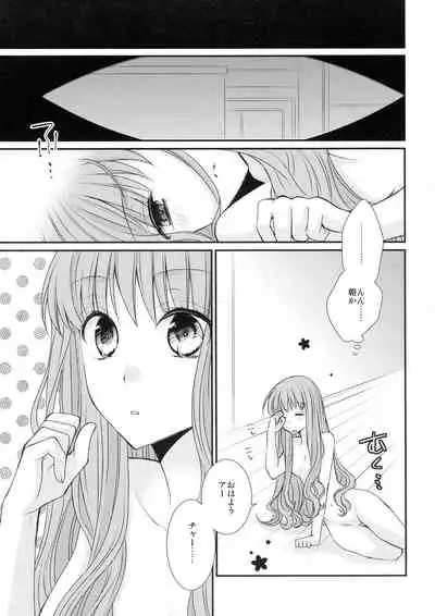 Spice Sugar Bitter Sweet