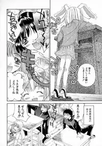 [Kojiki Ohji] Anemone