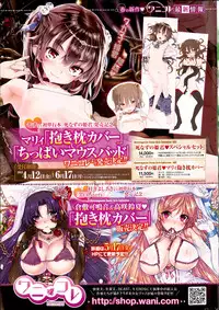 COMIC Shitsurakuten 2013-06