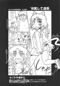 (C82) [Great Canyon (Deep Valley)] "Ano Chara ga Hanshokuyoku Ousei na Kimoota Oyaji no Seishi de Tanezuke Sareru Scene wo Mitai" to Iu Yokubou ni Yotte Umidasareta Copy Bon & Guest Genkou Soushuuhen. (Various)