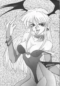 (C48) [GEBOKUDOU & Rikudoukan (Various)] ZERO COUNTER (Darkstalkers, Street Fighter)