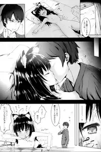 (SC2018 Spring) [fluid liquid (Nukui Lususu)] Nekomata Beginner 2-kame