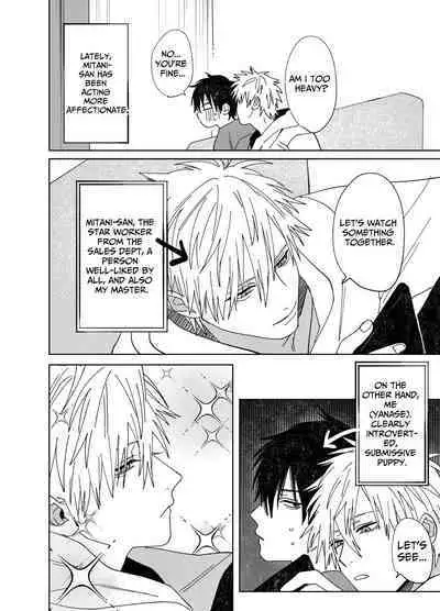 The Handsome Salesman At Work Is An Ideal Master 3