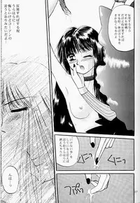 Moonlight (Bishoujo Senshi Sailor Moon)