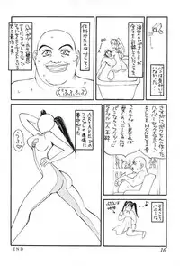 [SENPUGA] HONEY & CHERRY (Street Fighter)