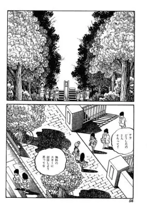 Joshidaisei Taikengohko