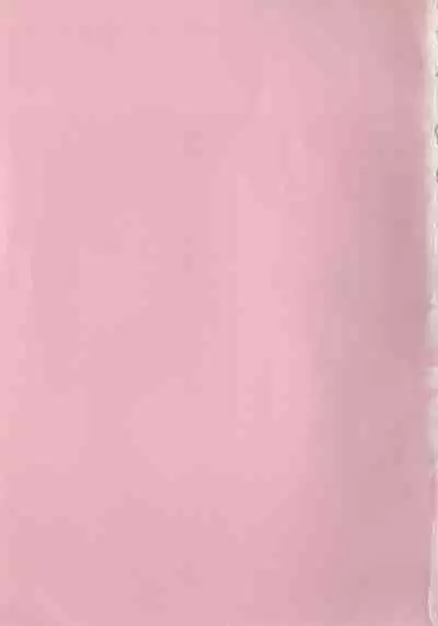 Hide-san no Yakata S