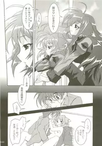 (C73) [PLUM (Kanna)] Mahou Shoujo Magical SEED Soushuuhen X (Mahou Shoujo Lyrical Nanoha)