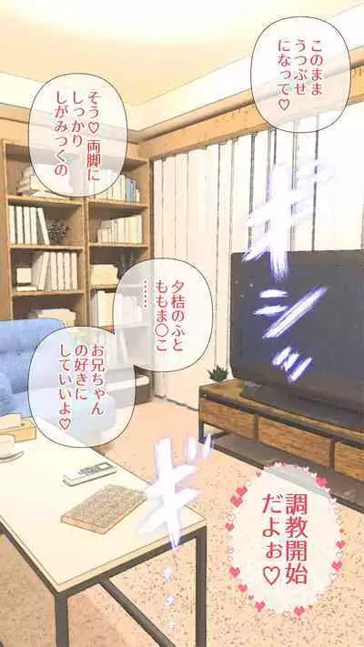 [ringo] Onii-chan wa mou Watashi no Hiza no Ue de Kyun-shi ni Sureba ii (Zenpen)