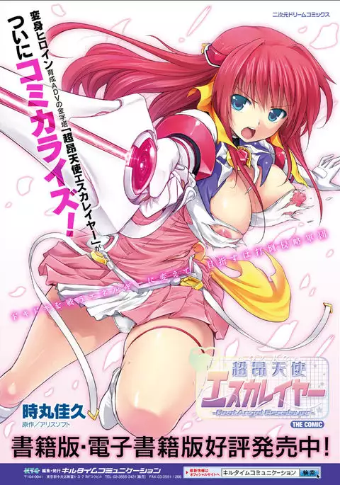 Seigi no Heroine Kangoku File Vol. 11