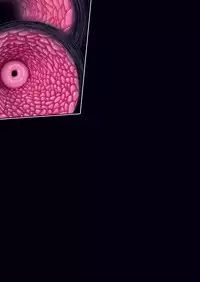 [Studio Mizuyokan (Higashitotsuka Raisuta)] DARK SLAVES HARDCORE DL (PreCure Series)