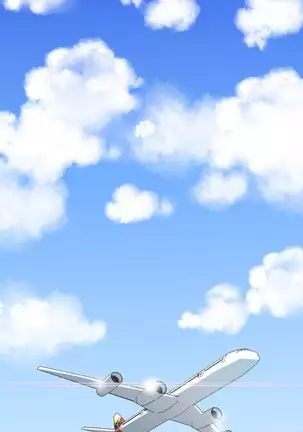 Chauffeur Service Ch.1-30.5