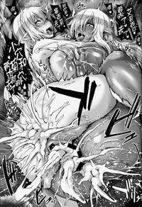 (C95) [Tiramisu Tart (Kazuhiro)] Yamiochi Reishuu Elf [Chinese] [贝尔西行寺个人汉化]