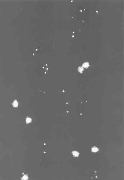 (Rekka no Omoi o Kimi ni DR2021) [Satoimo no Sato (Kuwai)] Matataki Biyori (Kimetsu no Yaiba)