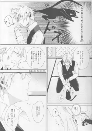 Cat&Chocolate - Durarara doujinshi Japanese