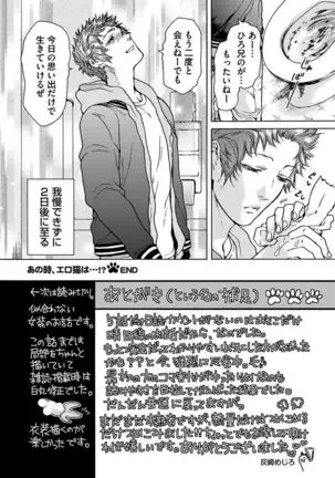 Ero Neko Kyouiku Nisshi