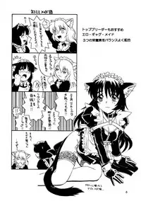 (C56) [.30-06 (Tsutsumi Akari)] CAZA MAYOR ~'99 estio~