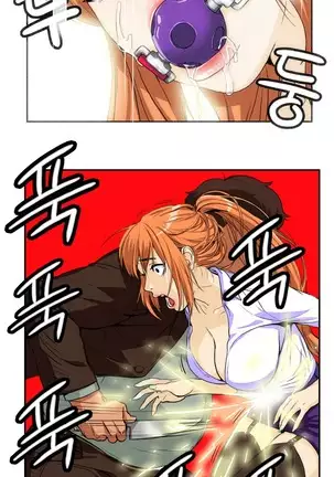 Chauffeur Service Ch.1-30.5