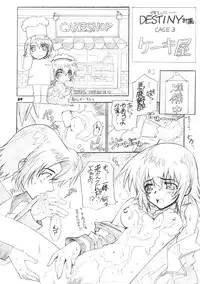 (C69) [WILD KINGDOM (Sensouji Kinoto)] From A to Z (Gundam SEED DESTINY)