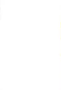 (CT18) [Transistor Baby] Ana Yune (Ikoku Meiro no Croisée)